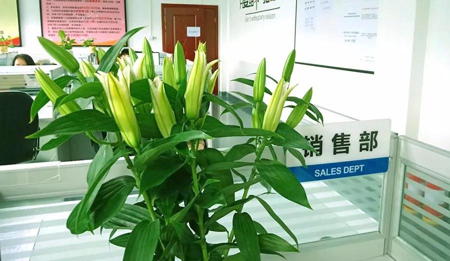 濃情七夕，最美祝福！